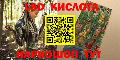 ПСИЛОЦИБИНОВЫЕ ГРИБЫ Можга
